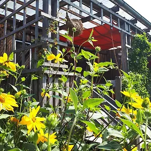  Ferienhaus Holzhaus Mit Grüner Aussicht Zum Erholen